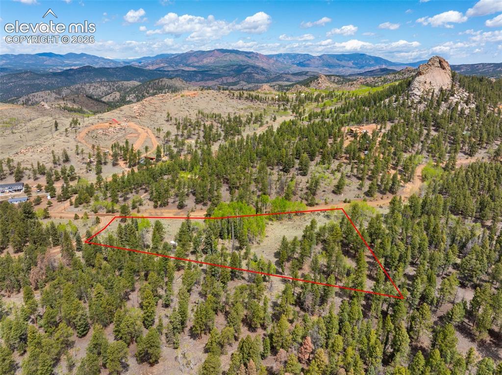 57 Beaver Creek Drive Lake George CO 80827