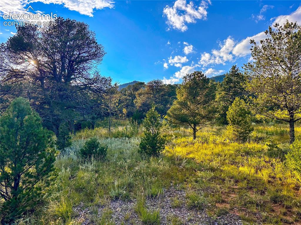 16116 Cala Rojo Drive Colorado Springs CO 80926