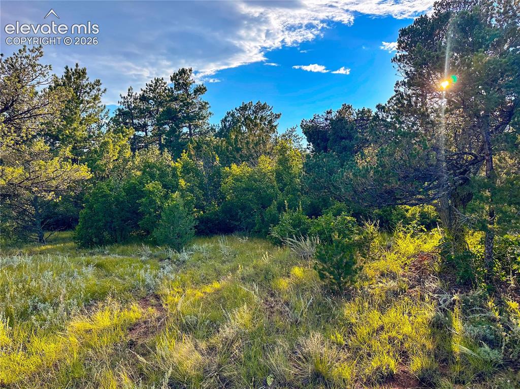 16116 Cala Rojo Drive Colorado Springs CO 80926