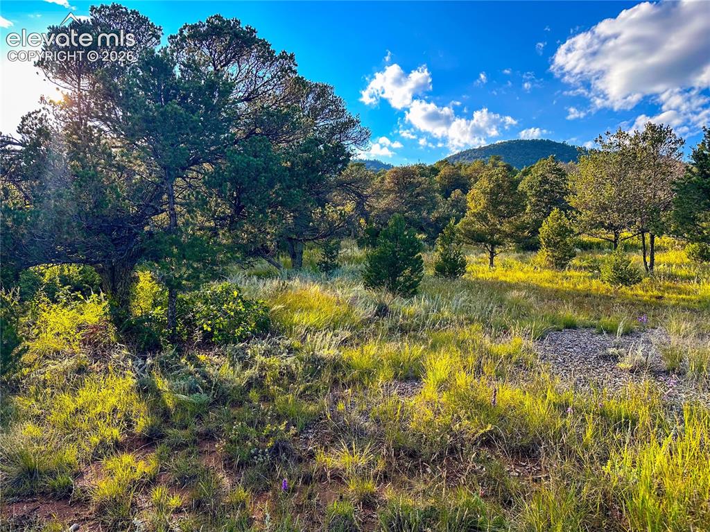 16116 Cala Rojo Drive Colorado Springs CO 80926