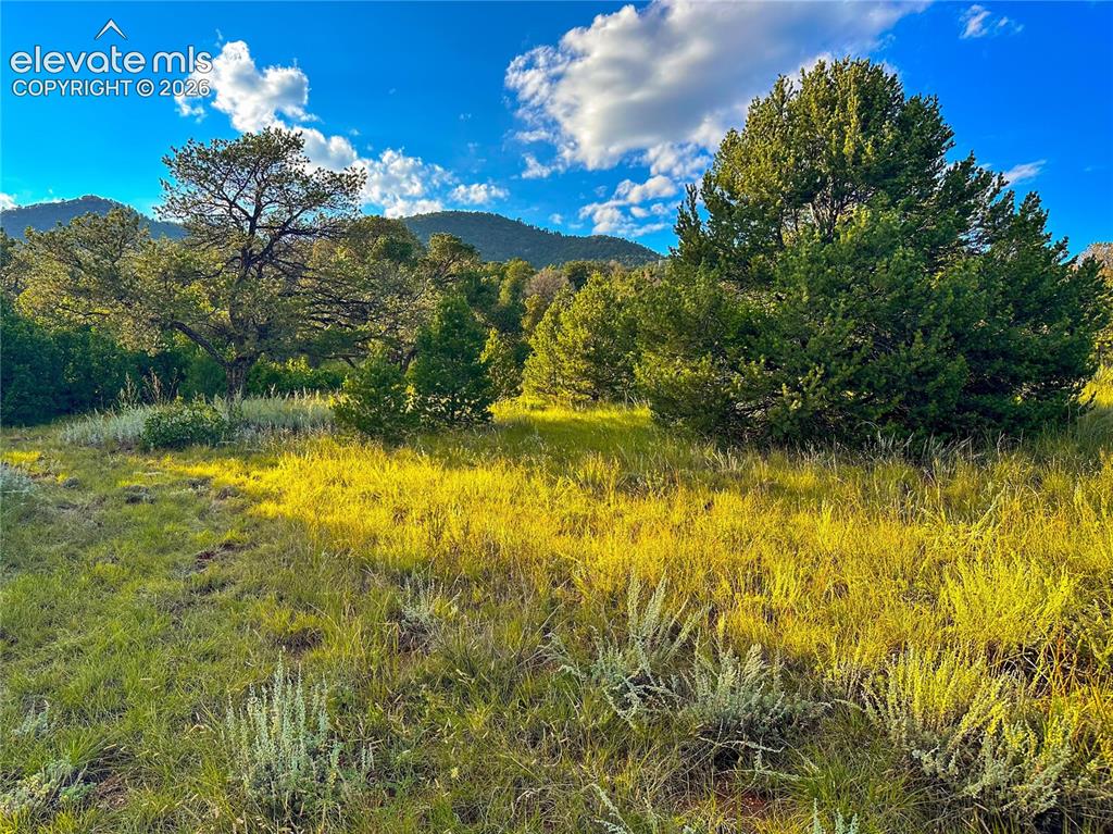 16116 Cala Rojo Drive Colorado Springs CO 80926