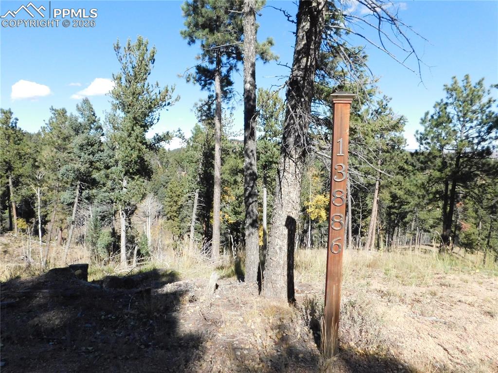 13886 Boulder Lane Larkspur CO 80118
