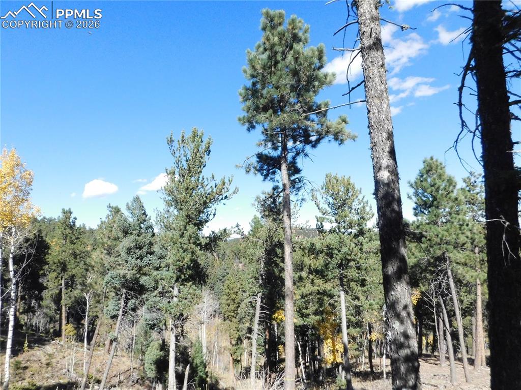 13886 Boulder Lane Larkspur CO 80118