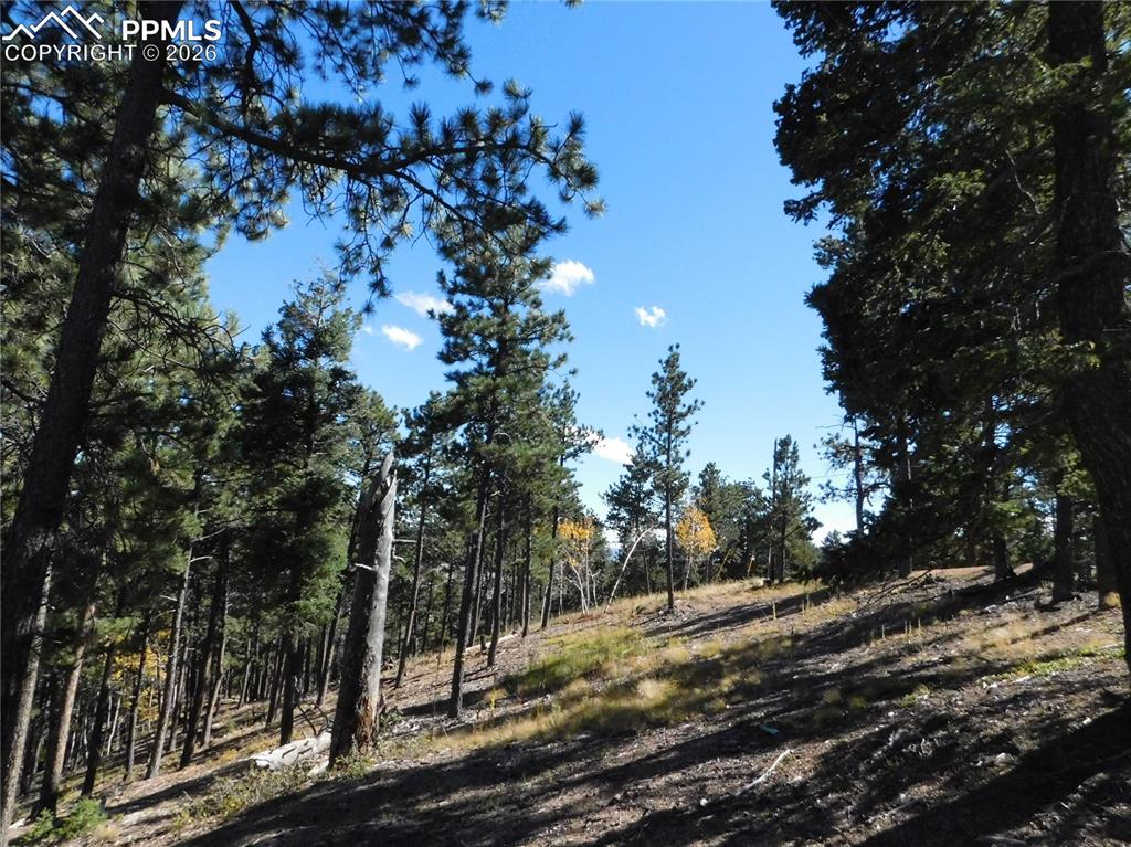 13886 Boulder Lane Larkspur CO 80118