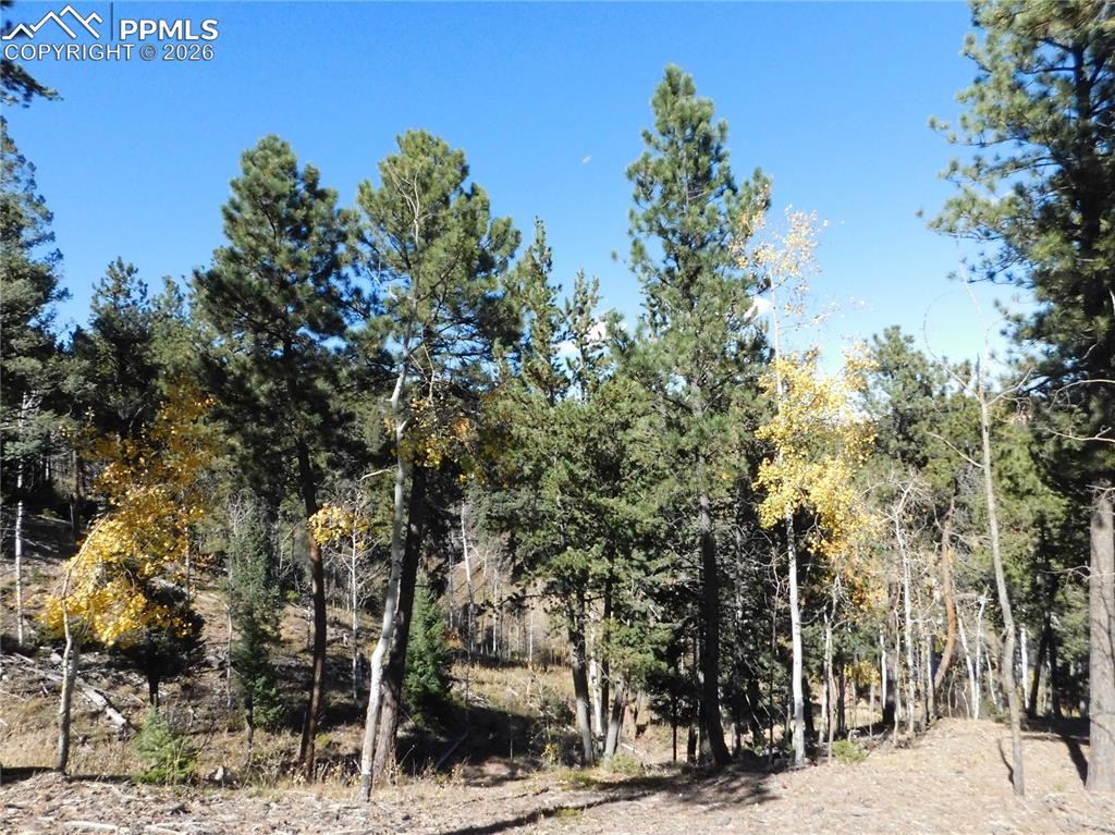 13886 Boulder Lane Larkspur CO 80118