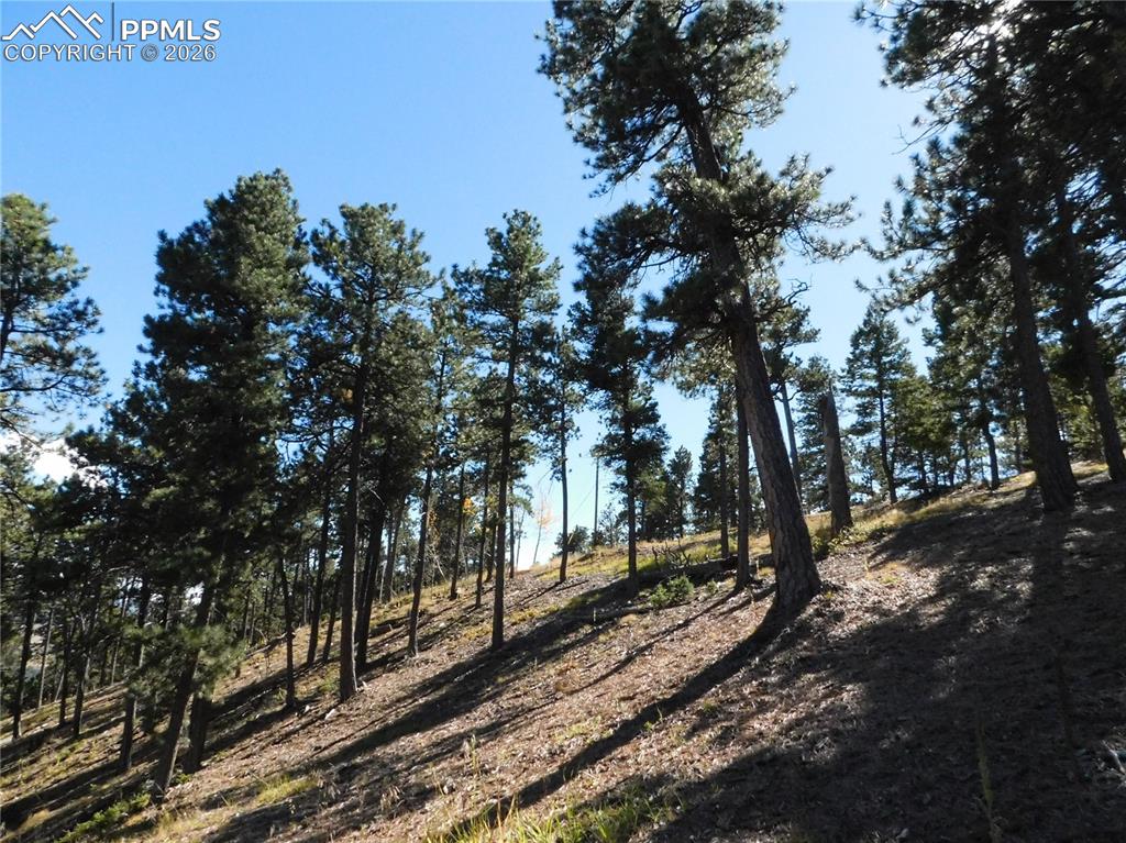 13886 Boulder Lane Larkspur CO 80118