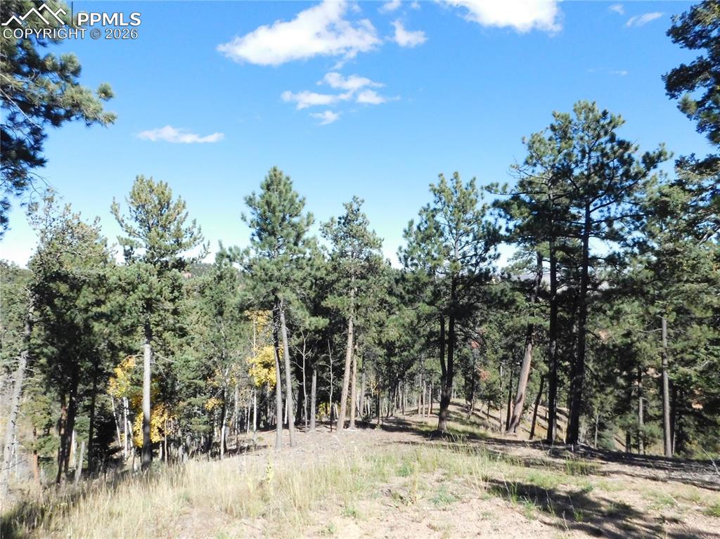 13886 Boulder Lane Larkspur CO 80118