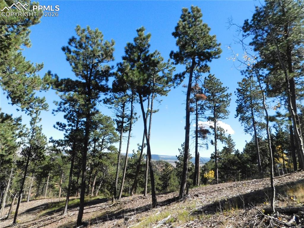 13886 Boulder Lane Larkspur CO 80118