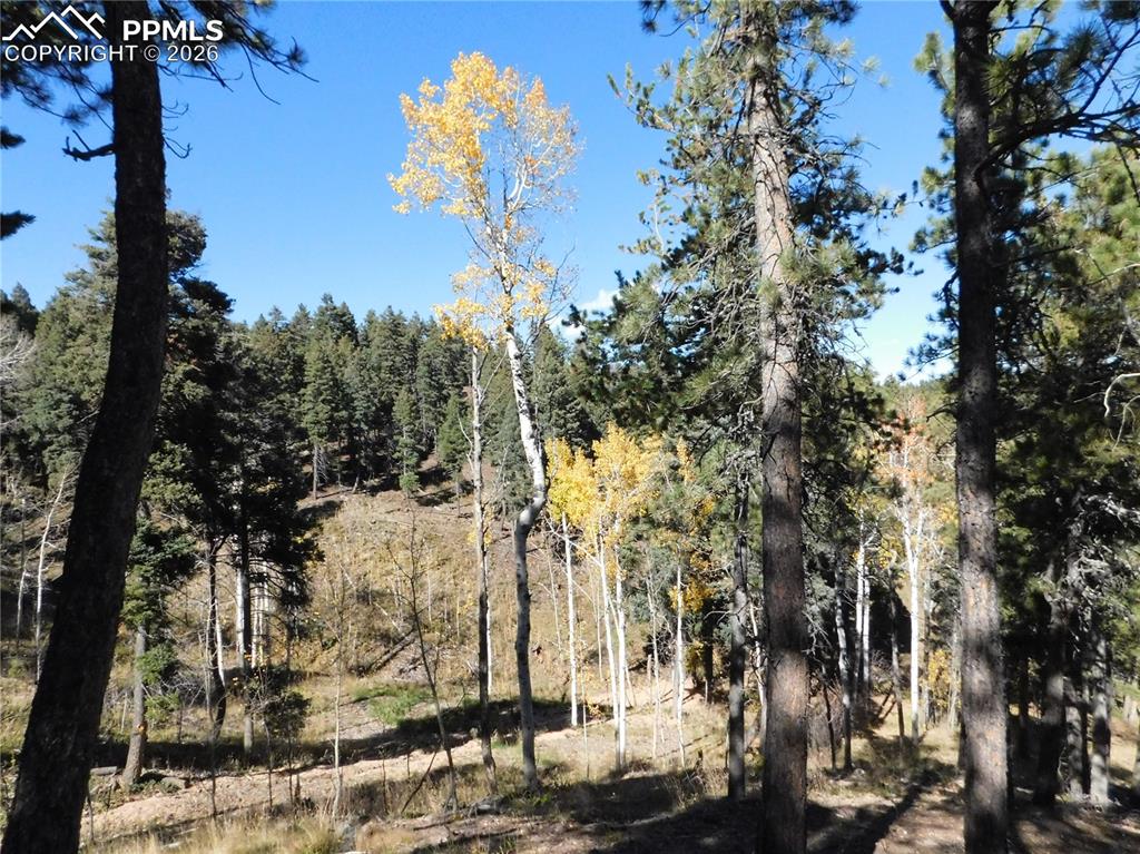 13886 Boulder Lane Larkspur CO 80118