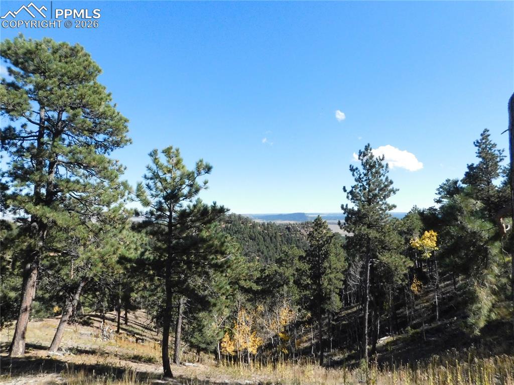 13886 Boulder Lane Larkspur CO 80118