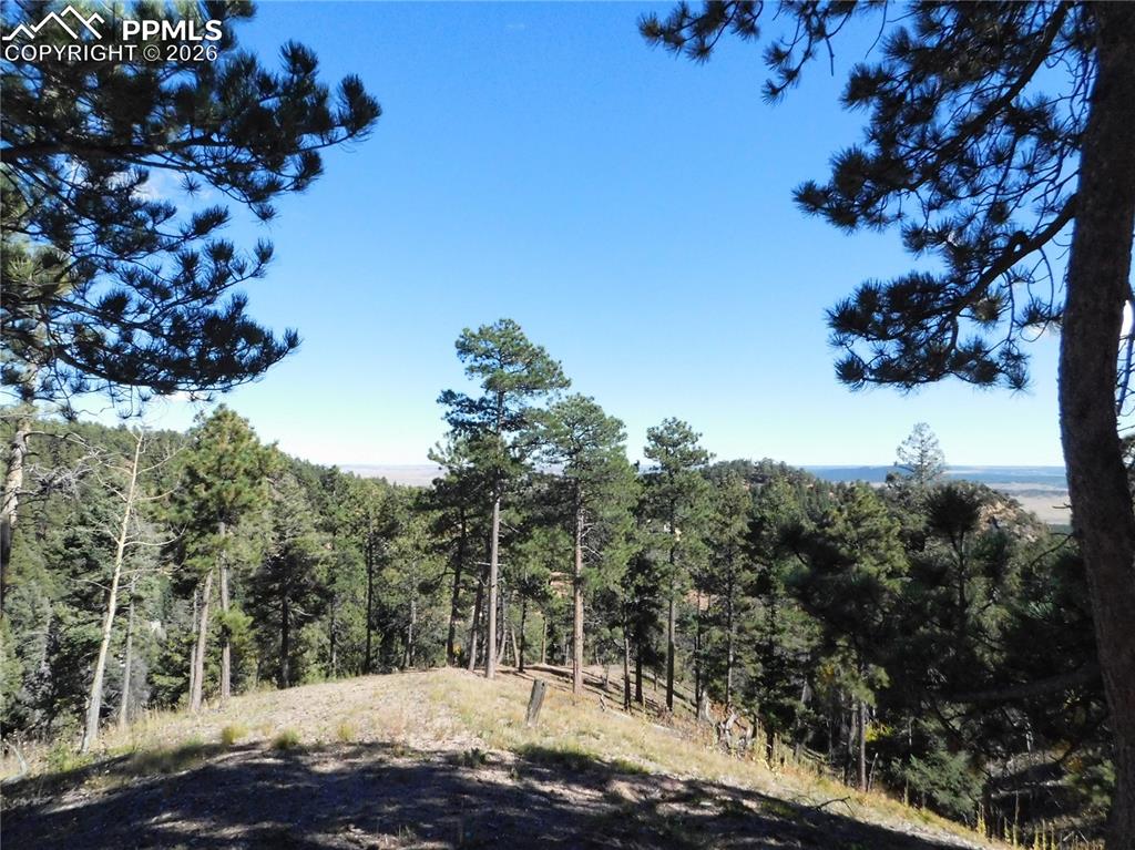 13886 Boulder Lane Larkspur CO 80118
