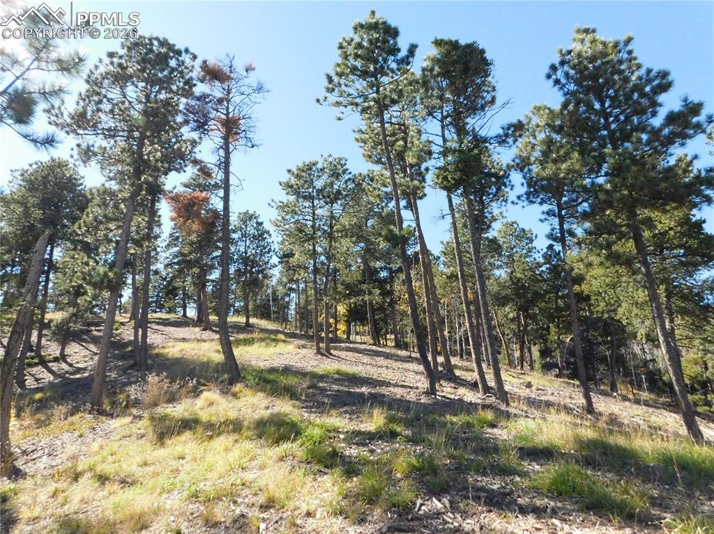 13886 Boulder Lane Larkspur CO 80118