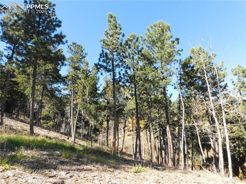 13886 Boulder Lane Larkspur CO 80118