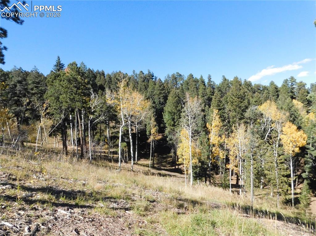 13886 Boulder Lane Larkspur CO 80118
