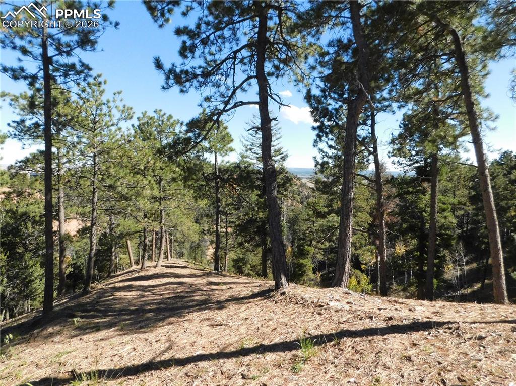 13886 Boulder Lane Larkspur CO 80118