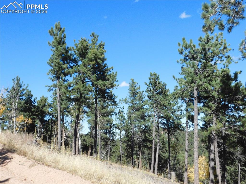 13886 Boulder Lane Larkspur CO 80118
