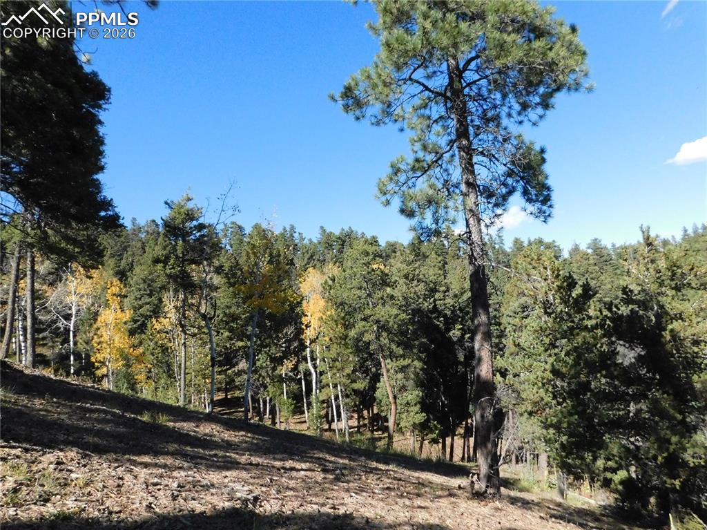 13886 Boulder Lane Larkspur CO 80118