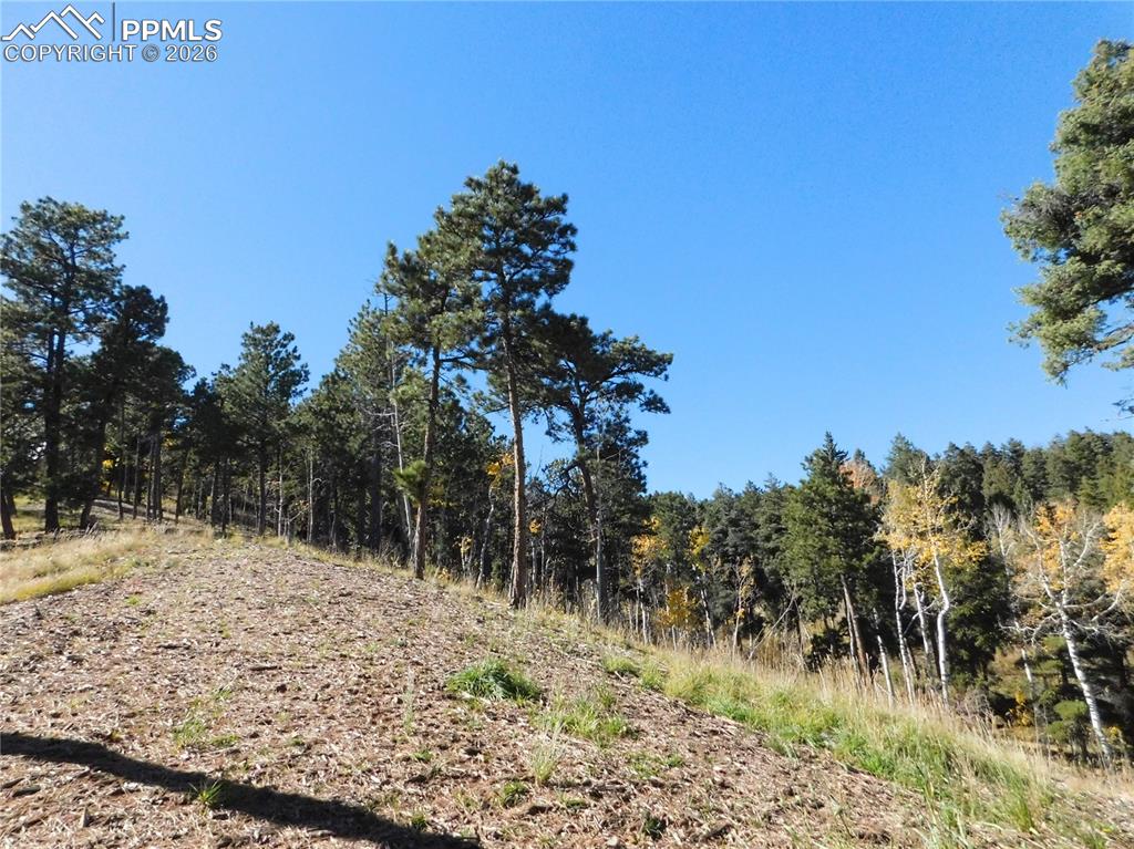 13886 Boulder Lane Larkspur CO 80118