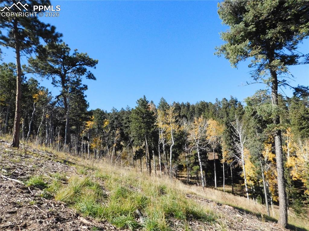 13886 Boulder Lane Larkspur CO 80118