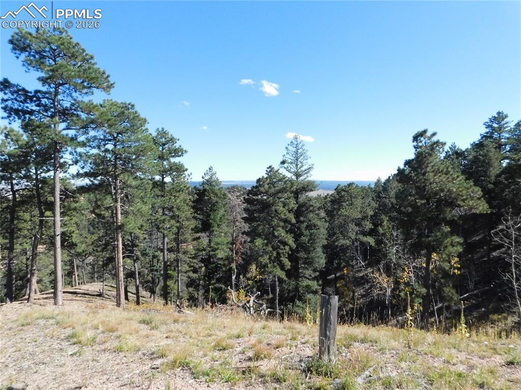 13886 Boulder Lane Larkspur CO 80118