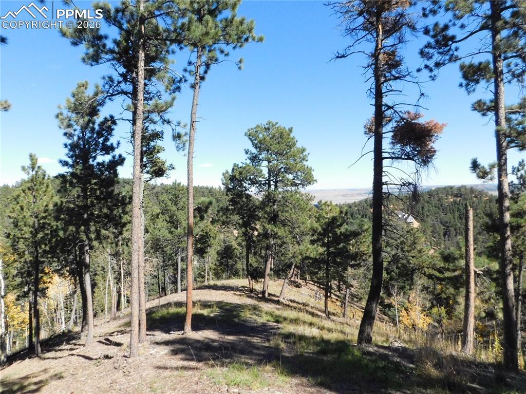 13886 Boulder Lane Larkspur CO 80118