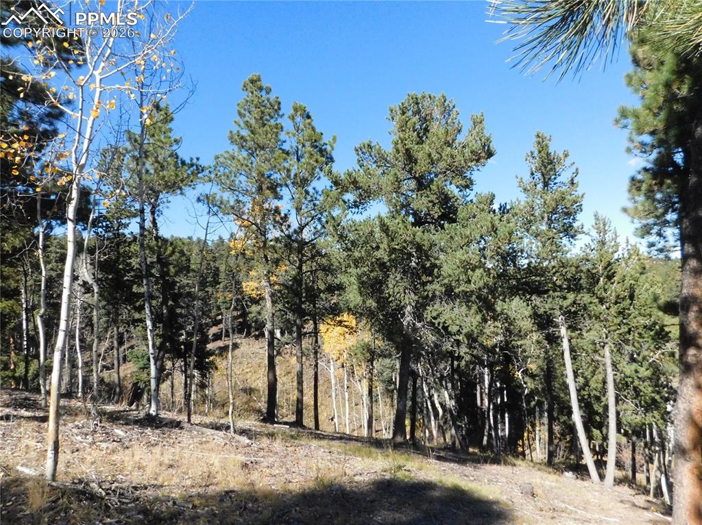 13886 Boulder Lane Larkspur CO 80118