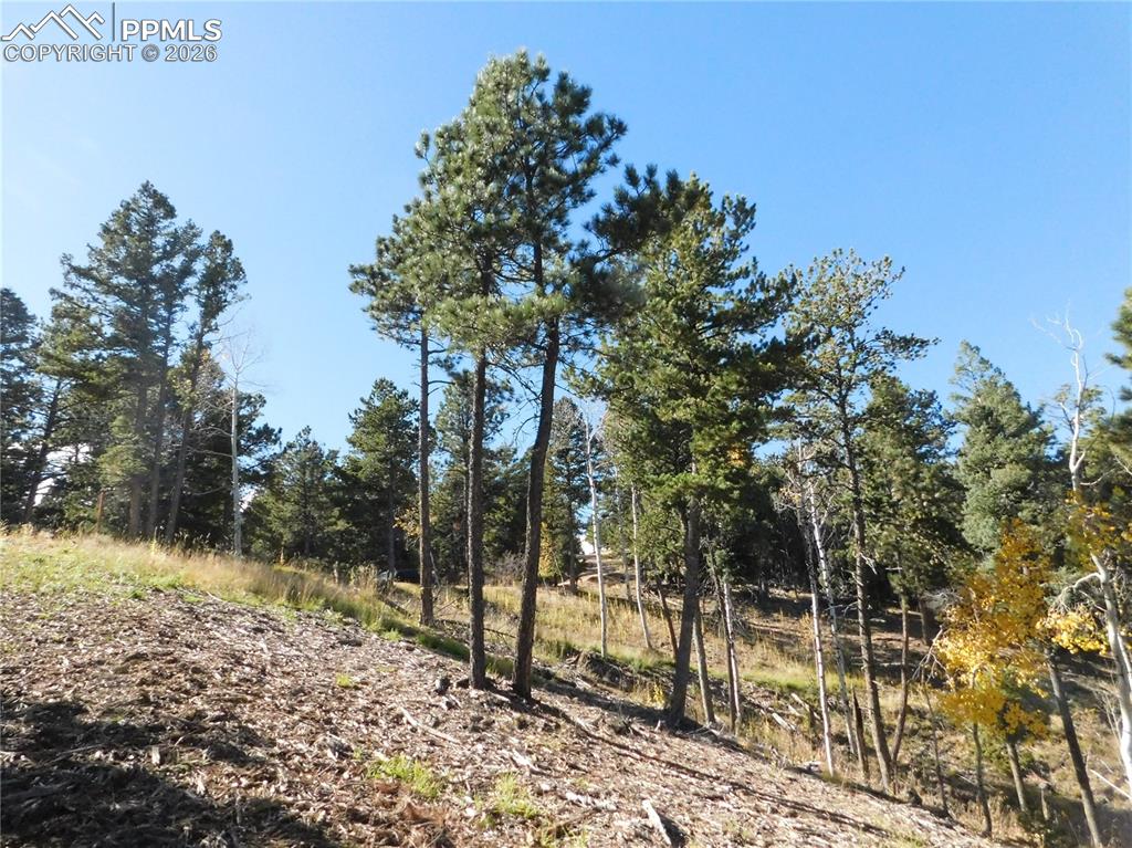 13886 Boulder Lane Larkspur CO 80118