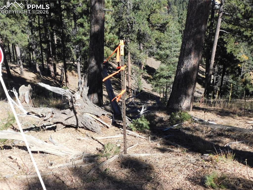 13886 Boulder Lane Larkspur CO 80118