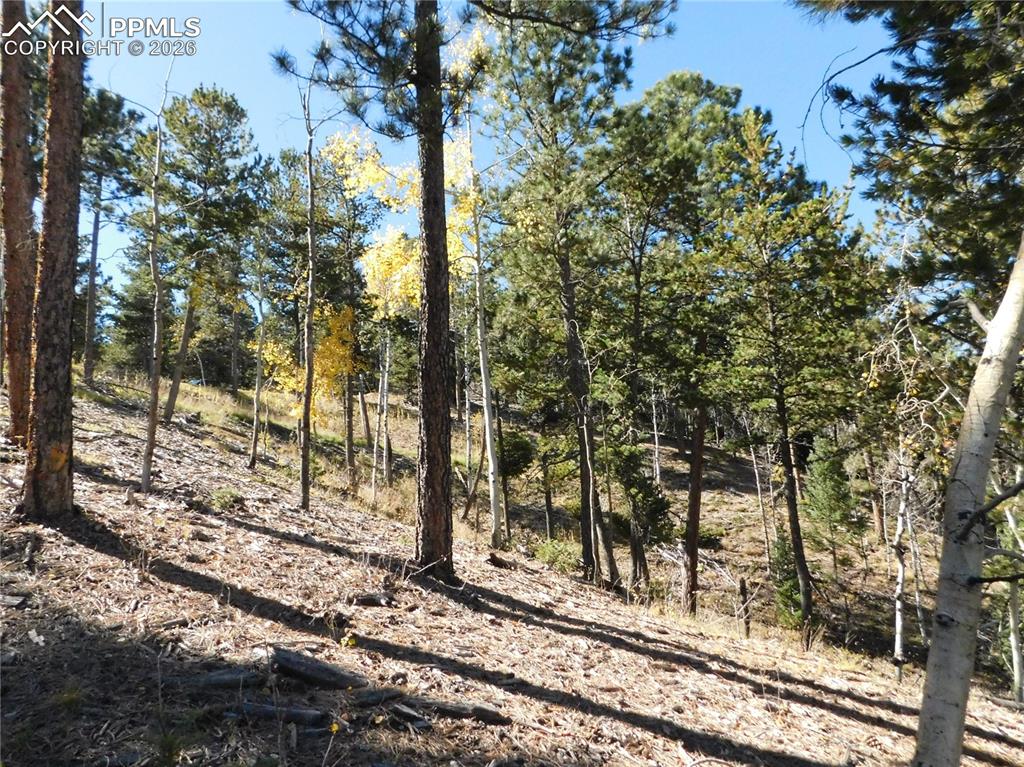 13886 Boulder Lane Larkspur CO 80118
