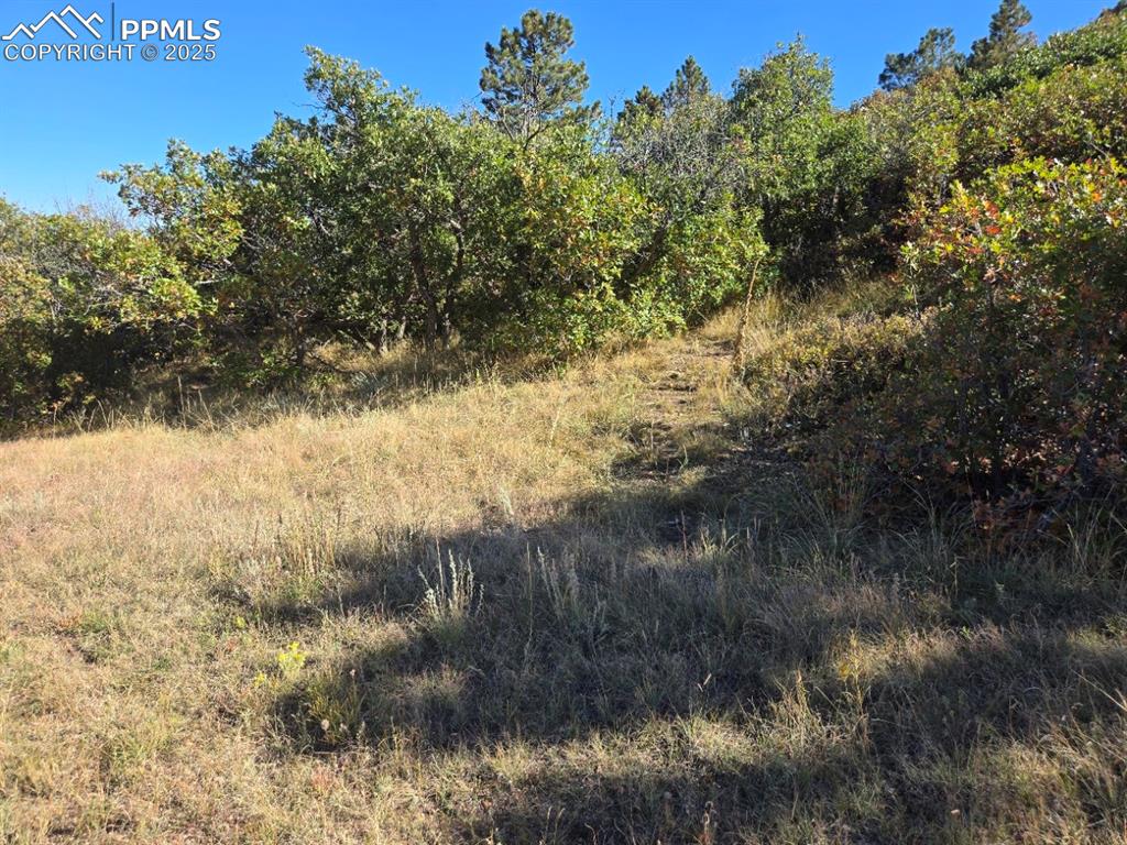 23 N 15th Street Colorado Springs CO 80926