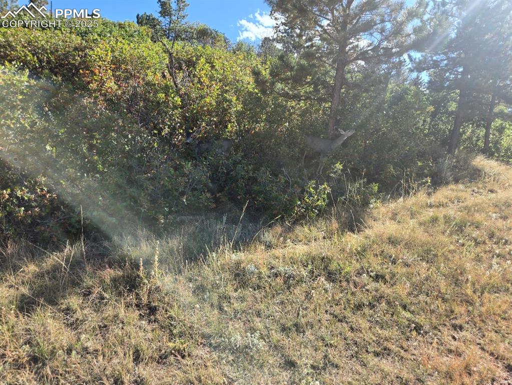 23 N 15th Street Colorado Springs CO 80926
