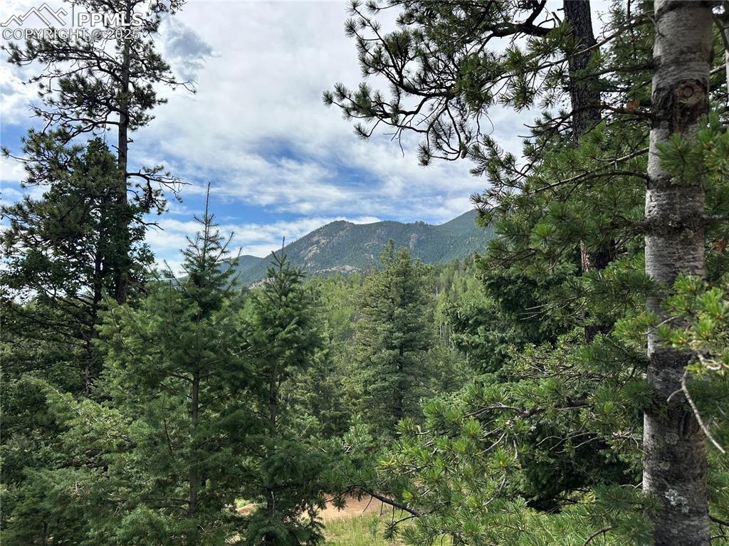 116 Happy Valley Road Manitou Springs CO 80829