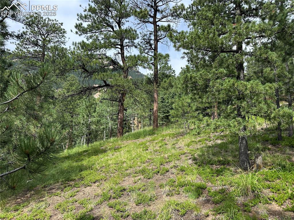 116 Happy Valley Road Manitou Springs CO 80829