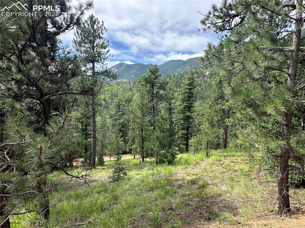 116 Happy Valley Road Manitou Springs CO 80829