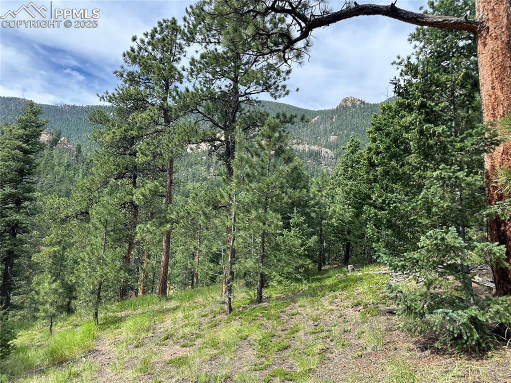 116 Happy Valley Road Manitou Springs CO 80829