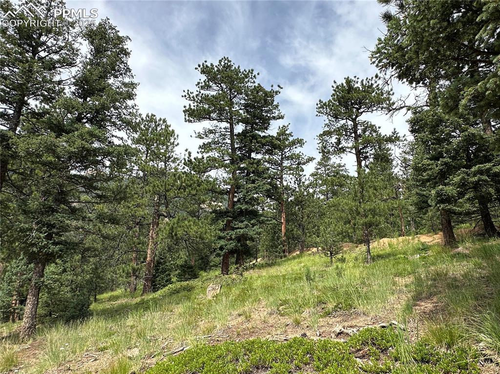 116 Happy Valley Road Manitou Springs CO 80829