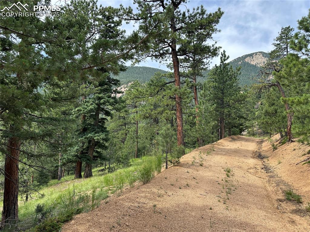 116 Happy Valley Road Manitou Springs CO 80829