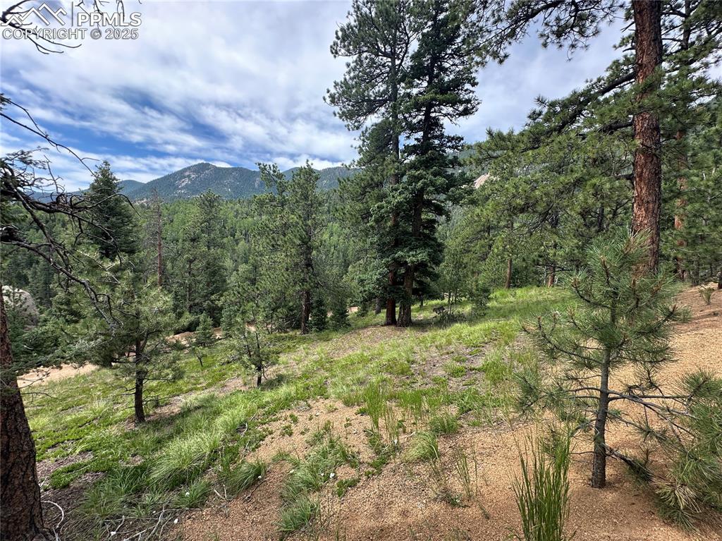 116 Happy Valley Road Manitou Springs CO 80829