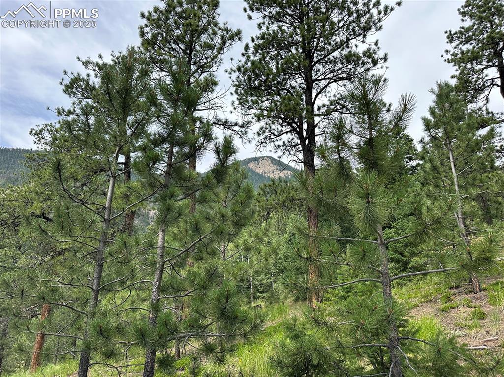 116 Happy Valley Road Manitou Springs CO 80829