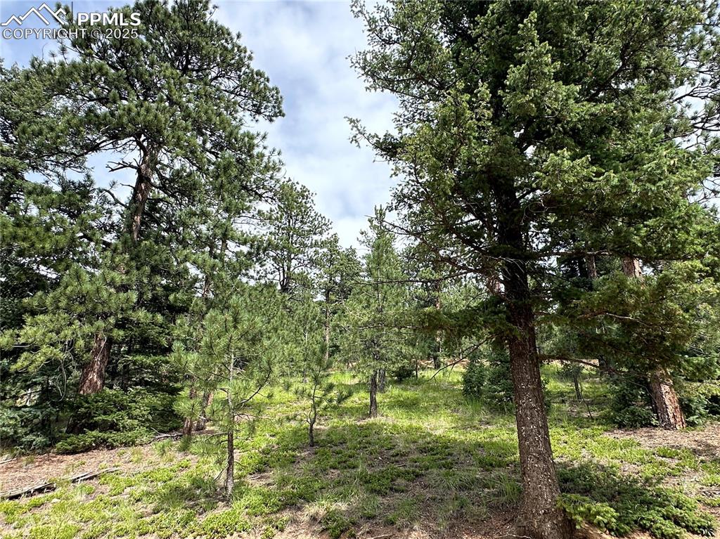 116 Happy Valley Road Manitou Springs CO 80829