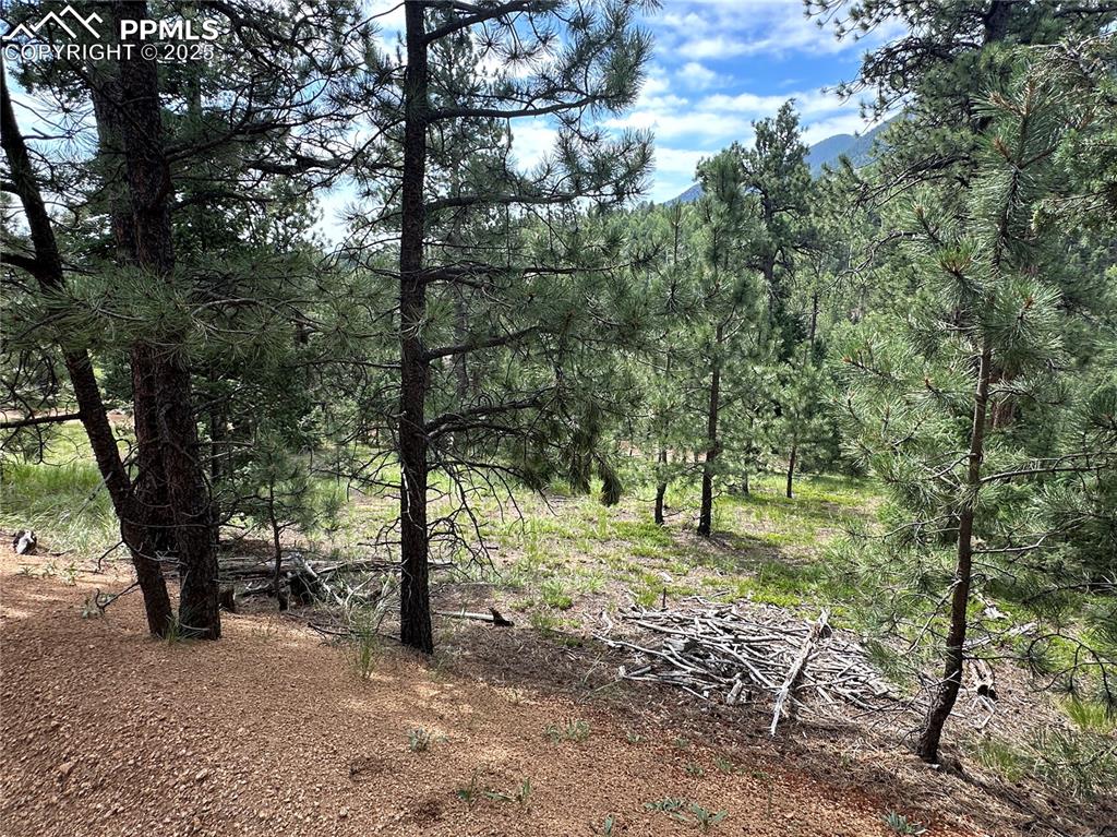 116 Happy Valley Road Manitou Springs CO 80829