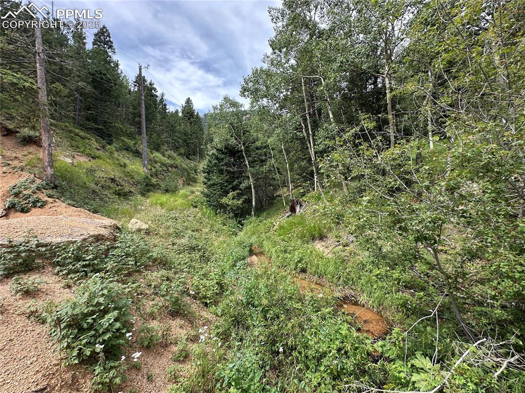 116 Happy Valley Road Manitou Springs CO 80829