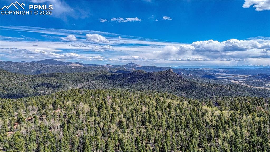 3075 N Mountain Estates Road Florissant CO 80816