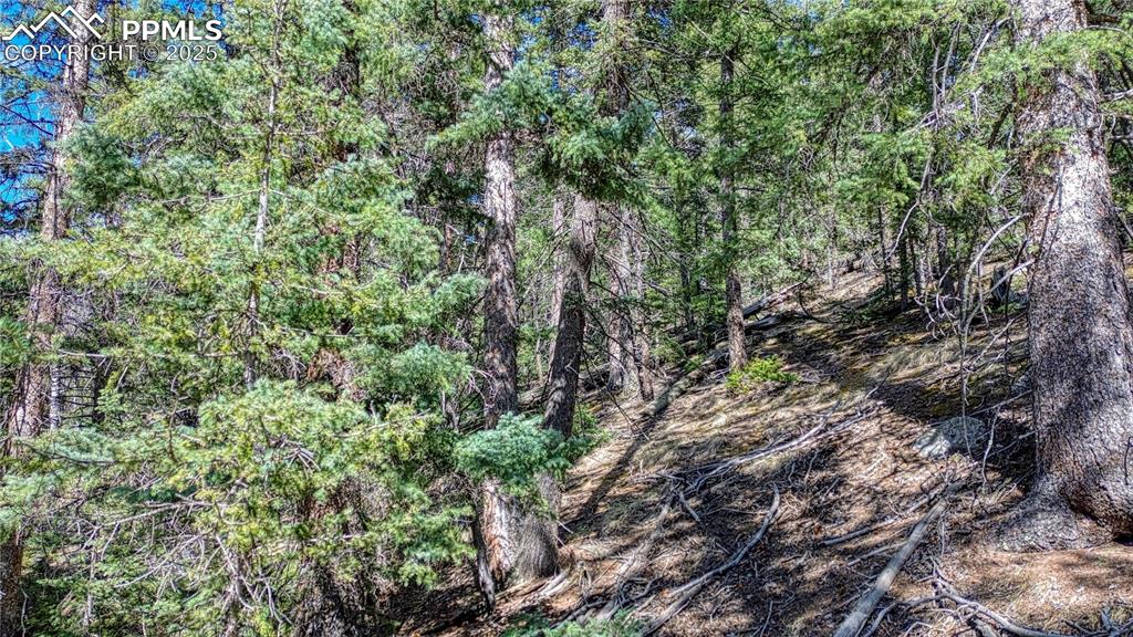3075 N Mountain Estates Road Florissant CO 80816