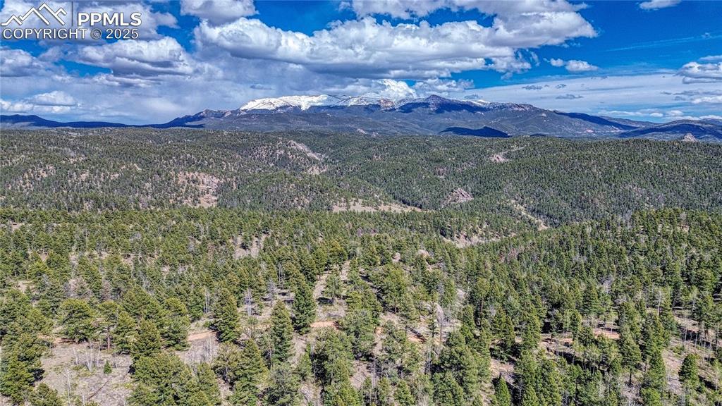 3075 N Mountain Estates Road Florissant CO 80816