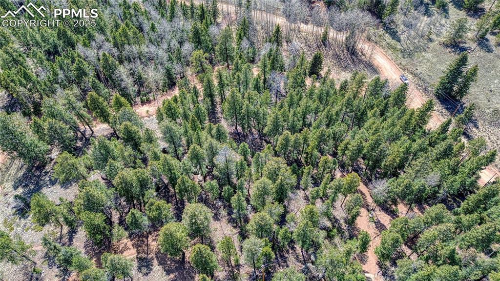 3075 N Mountain Estates Road Florissant CO 80816