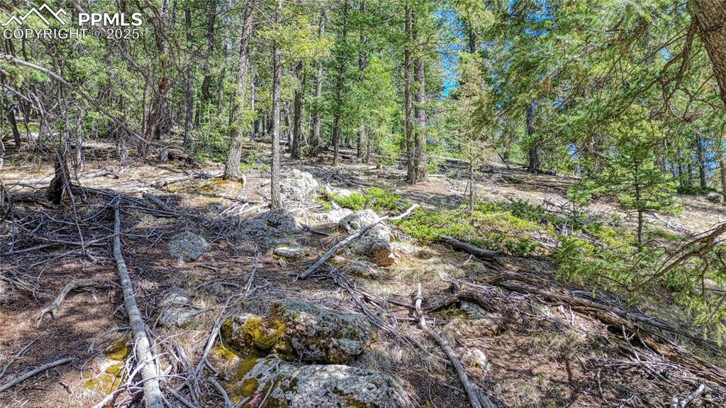 3075 N Mountain Estates Road Florissant CO 80816