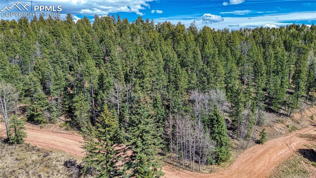 3075 N Mountain Estates Road Florissant CO 80816