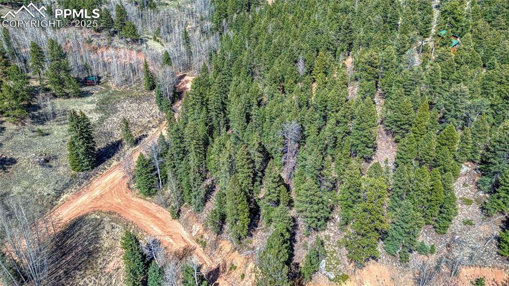 3075 N Mountain Estates Road Florissant CO 80816