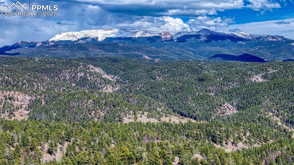 3075 N Mountain Estates Road Florissant CO 80816